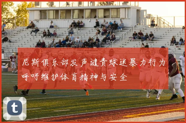 尼斯俱乐部发声谴责球迷暴力行为呼吁维护体育精神与安全