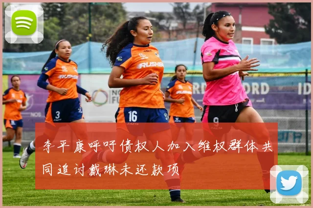 李平康呼吁债权人加入维权群体共同追讨戴琳未还款项